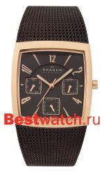 Skagen Mesh Rectangular 562SRM
