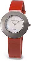 Skagen Leather Titanium 569STLR