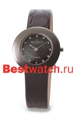 Skagen Leather Titanium 569STTLB4