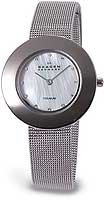 Skagen Mesh 569STW