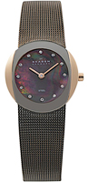Skagen Mesh 589SRM