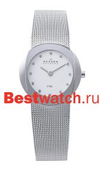 Skagen Mesh 589SSS