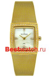 Skagen Mesh Rectangular 608SGG