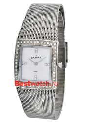 Skagen Mesh 608SSS