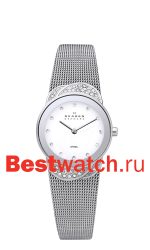 Skagen Mesh 818SSS