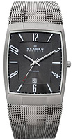 Skagen Mesh Titanium 851LTTM