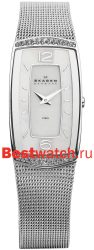 Skagen Mesh Rectangular 887SSS