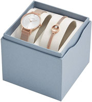 Skagen Mesh SKW1096