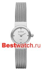 Skagen Mesh SKW2010