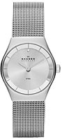 Skagen Mesh SKW2044