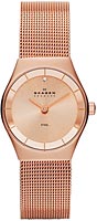 Skagen Mesh SKW2046