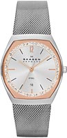 Skagen Mesh SKW2051