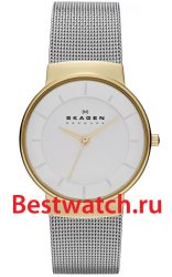 Skagen Mesh SKW2076