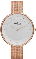 Skagen Mesh SKW2142