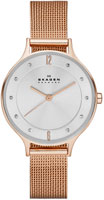 Skagen Mesh SKW2151