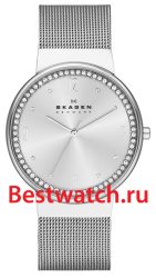 Skagen Mesh SKW2152