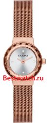 Skagen Mesh SKW2187