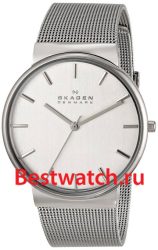 Skagen Mesh SKW2201