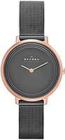 Skagen Mesh SKW2277