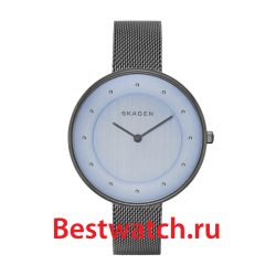 Skagen Mesh SKW2292