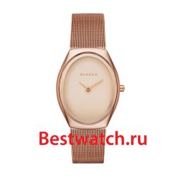 Skagen Mesh SKW2299
