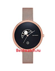 Skagen Mesh SKW2371