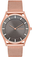 Skagen Mesh SKW2378
