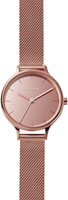 Skagen Mesh SKW2413