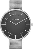 Skagen Mesh SKW2561