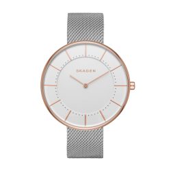 Skagen Mesh SKW2583