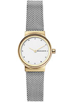 Skagen Mesh SKW2666