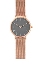 Skagen Mesh SKW2675