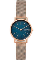 Skagen Mesh SKW2837