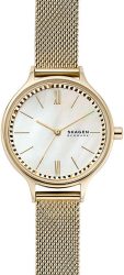 Skagen Mesh SKW2907