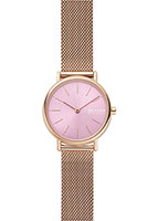 Skagen Mesh SKW2975