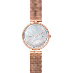 Skagen Mesh SKW2980