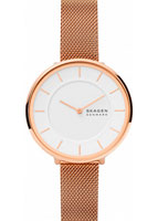 Skagen Mesh SKW3013