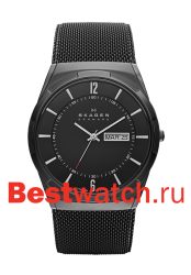 Skagen Mesh SKW6006