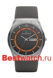 Skagen Mesh SKW6007