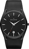 Skagen Mesh SKW6009