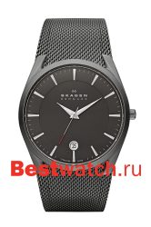 Skagen Mesh SKW6010