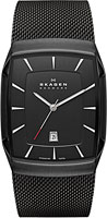 Skagen Mesh SKW6011