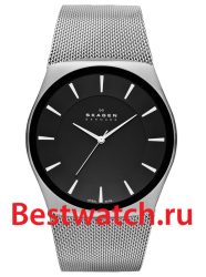Skagen Mesh SKW6019