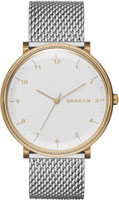 Skagen Mesh SKW6170