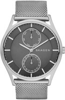 Skagen Mesh SKW6172
