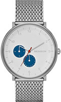 Skagen Mesh SKW6187