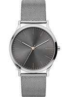 Skagen Mesh SKW6368