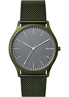Skagen Mesh SKW6425