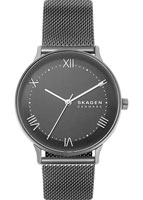 Skagen Mesh SKW6624