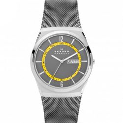 Skagen Mesh SKW6789